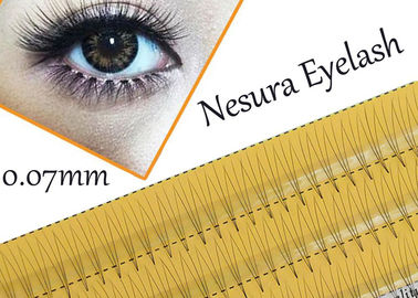 Pro Natural C Curl 0,12 мм 8/10/12 мм Черные индивидуальные ложные ресницы 3d 4d 5d шелковые ресницы поставщик