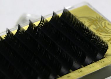 1 корпус полного размера JBCD Mink ложные ресницы Black Curl Индивидуальные ложные ресницы поставщик